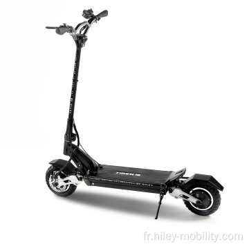 Balance électrique à 2 roues Scooter Scooter Prix bon marché Motor à double entraînement 1200W Scooters Adulte puissant